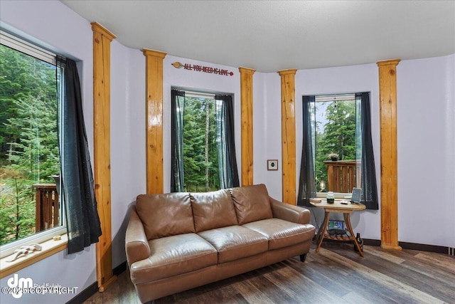 10912 Wolf Trail Cir, Seward, AK 99664 - living room with wood finished floors and plenty of natural light
