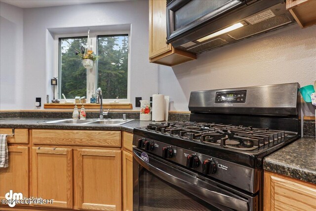 10912 Wolf Trail Cir, Seward, AK 99664 - kitchen with stainless steel gas stove and dark countertops