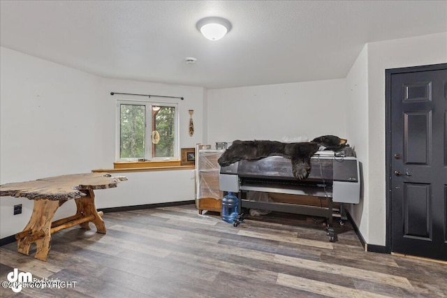 10912 Wolf Trail Cir, Seward, AK 99664 - bedroom with wood finished floors and baseboards