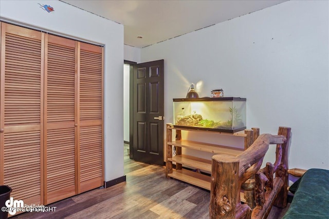 10912 Wolf Trail Cir, Seward, AK 99664 - bedroom featuring wood finished floors and a closet