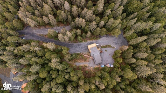 10912 Wolf Trail Cir, Seward, AK 99664 - view of property location