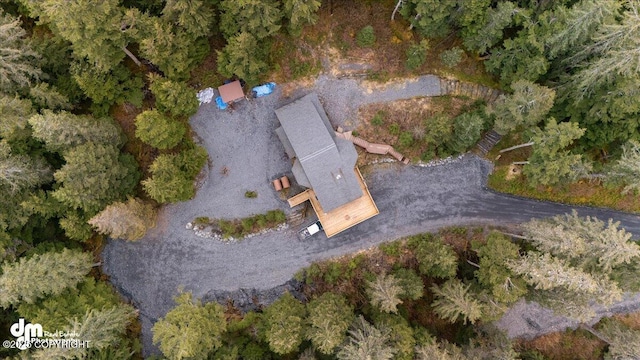 10912 Wolf Trail Cir, Seward, AK 99664 - aerial view of property's location
