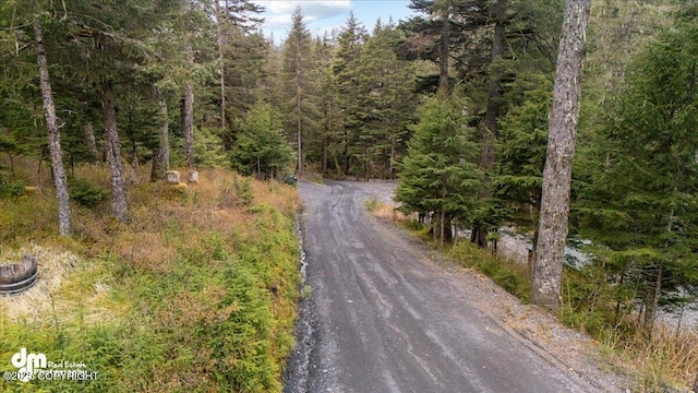 10912 Wolf Trail Cir, Seward, AK 99664 - view of road featuring a view of trees