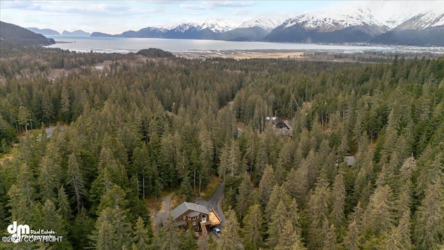 10912 Wolf Trail Cir, Seward, AK 99664 - view of mountain background featuring a heavily wooded area