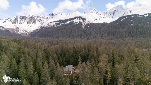 10912 Wolf Trail Cir, Seward, AK 99664 - view of mountain backdrop with a heavily wooded area