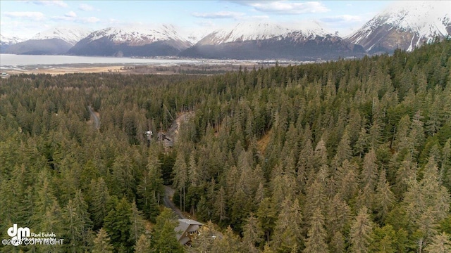 10912 Wolf Trail Cir, Seward, AK 99664 - view of mountain backdrop with a forest