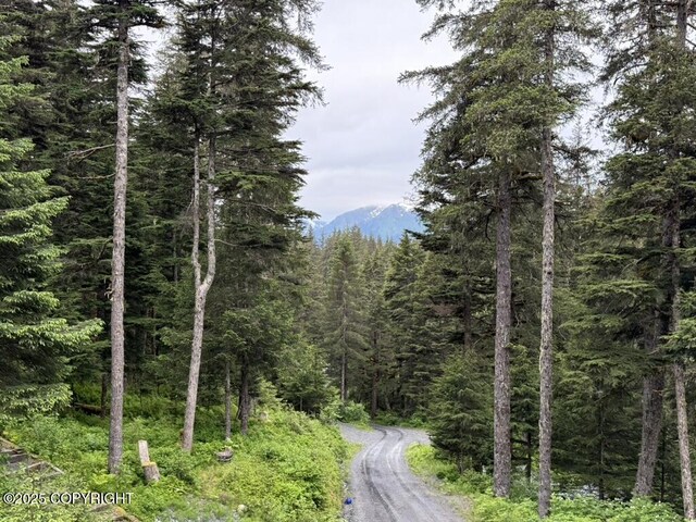 10912 Wolf Trail Cir, Seward, AK 99664 - view of road with a view of trees