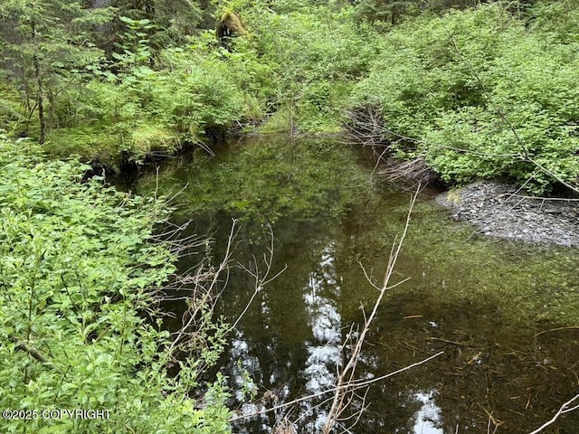 10912 Wolf Trail Cir, Seward, AK 99664 - view of undeveloped land