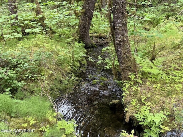 10912 Wolf Trail Cir, Seward, AK 99664 - view of local wilderness