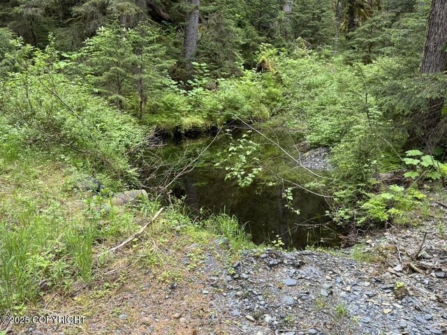 10912 Wolf Trail Cir, Seward, AK 99664 - view of woods