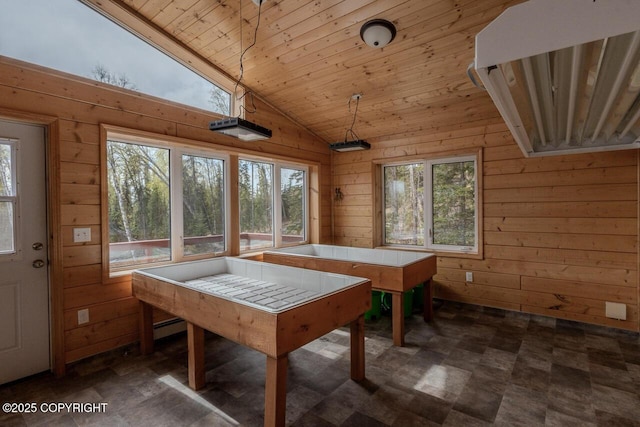 575 Pace St, Soldotna, AK 99669 - recreation room featuring wooden walls, lofted ceiling, wooden ceiling, and dark flooring