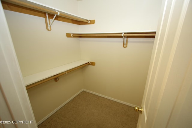 11725 Birch Knoll Loop, Anchorage, AK 99515 - walk in closet with carpet floors