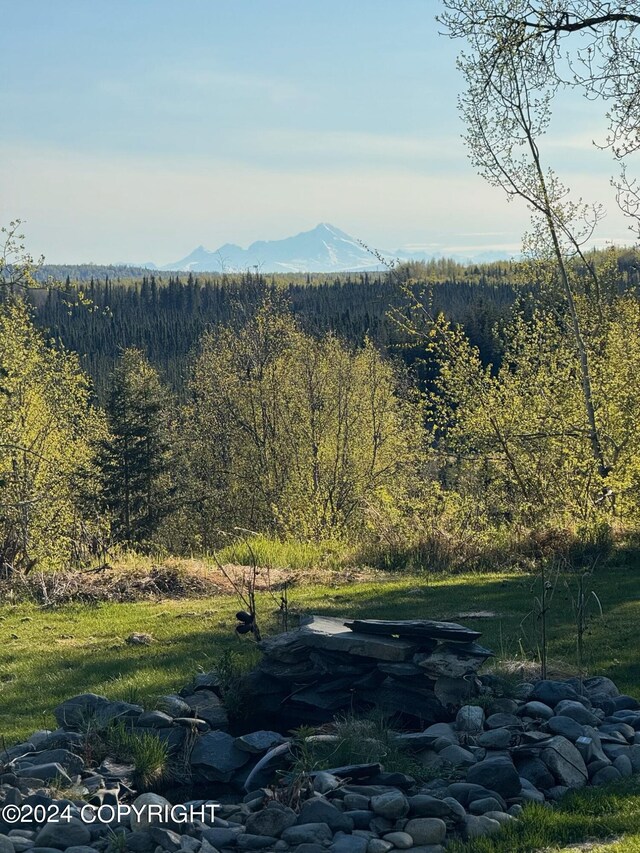 mountain view with a forest view