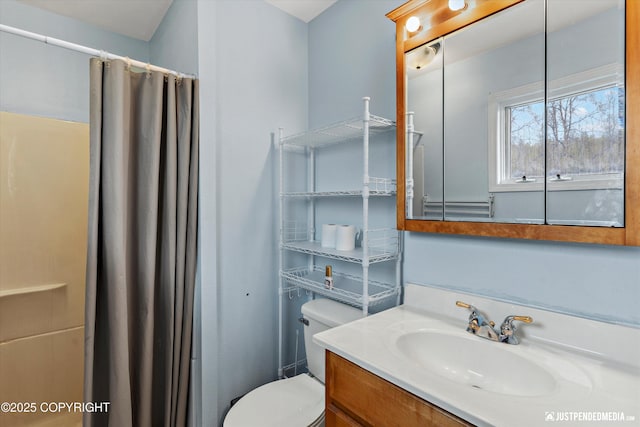 3810 Midvale Cir, Anchorage, AK 99507 - full bathroom with toilet, vanity, and curtained shower