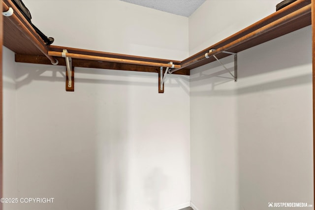 3810 Midvale Cir, Anchorage, AK 99507 - view of spacious closet