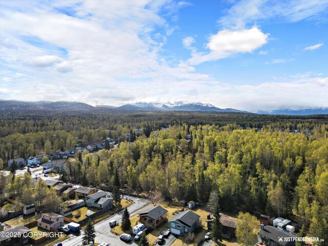 3810 Midvale Cir, Anchorage, AK 99507 - drone / aerial view with a forest view, a mountain view, and a residential view