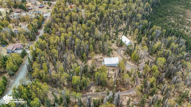 29425 Fools Gold St, Soldotna, AK 99669 - aerial view of property's location