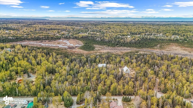 29425 Fools Gold St, Soldotna, AK 99669 - view of property location with a heavily wooded area and mountains