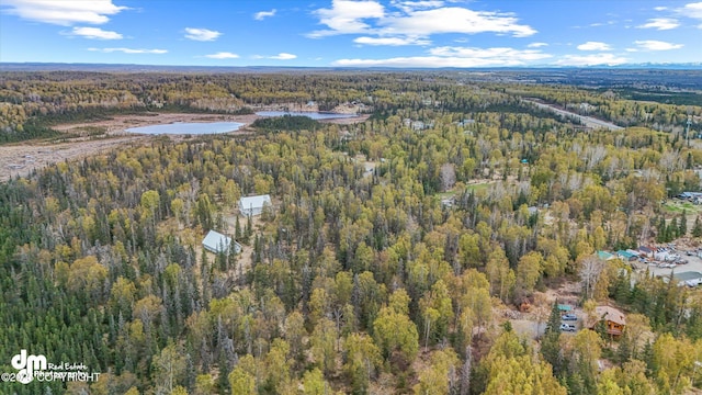 29425 Fools Gold St, Soldotna, AK 99669 - aerial overview of property's location featuring a heavily wooded area