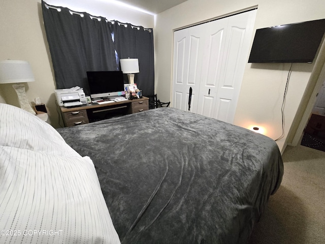 1902 Swetmann Ave, Seward, AK 99664 - bedroom with carpet and a closet