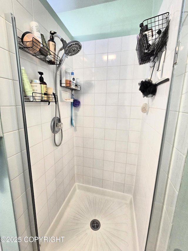 1902 Swetmann Ave, Seward, AK 99664 - bathroom featuring a shower stall
