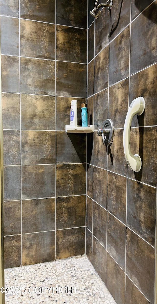 5789 S Hanson Loop, Wasilla, AK 99654 - full bath with tiled shower