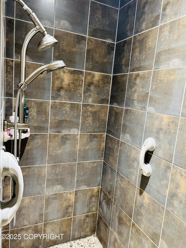 5789 S Hanson Loop, Wasilla, AK 99654 - interior details featuring tiled shower