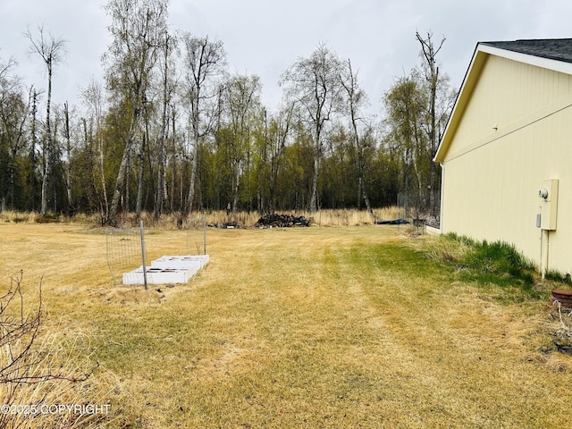 5789 S Hanson Loop, Wasilla, AK 99654 - view of yard