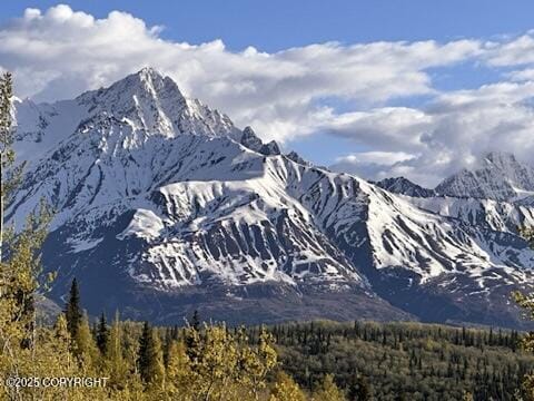 B005 Packsaddle Rd, Chickaloon, AK 99674