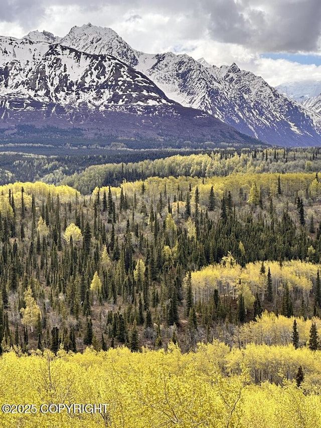 B005 Packsaddle Rd, Chickaloon, AK 99674