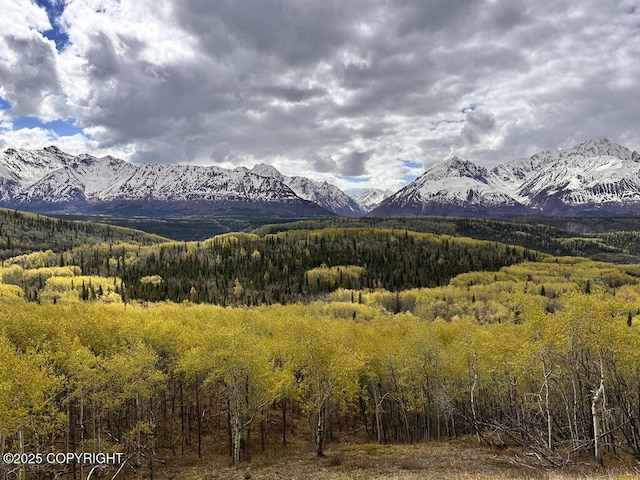 B005 Packsaddle Rd, Chickaloon, AK 99674