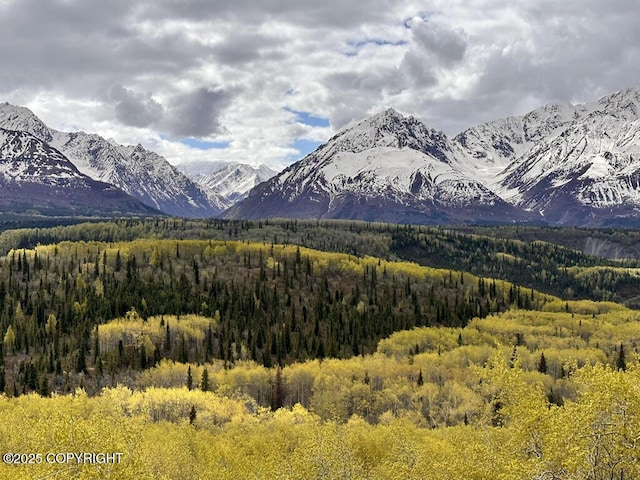 B005 Packsaddle Rd, Chickaloon, AK 99674