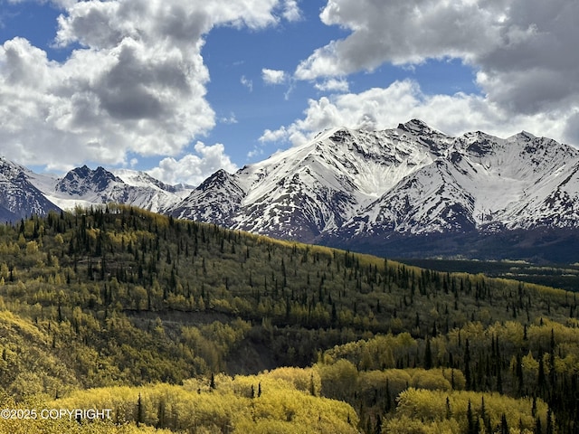 B005 Packsaddle Rd, Chickaloon, AK 99674