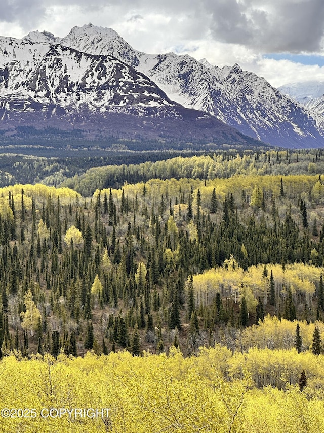 B005 Packsaddle Rd, Chickaloon, AK 99674