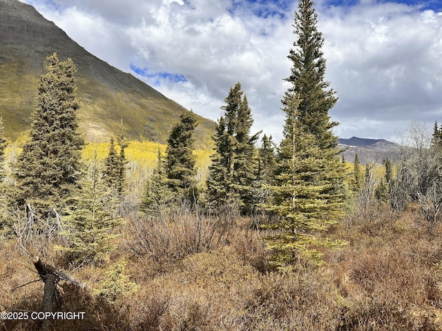 B005 Packsaddle Rd, Chickaloon, AK 99674