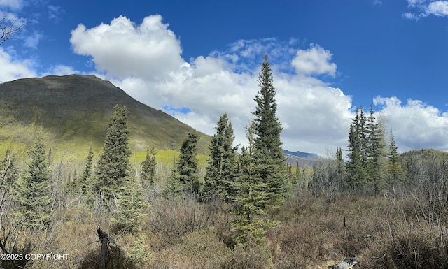 B005 Packsaddle Rd, Chickaloon, AK 99674