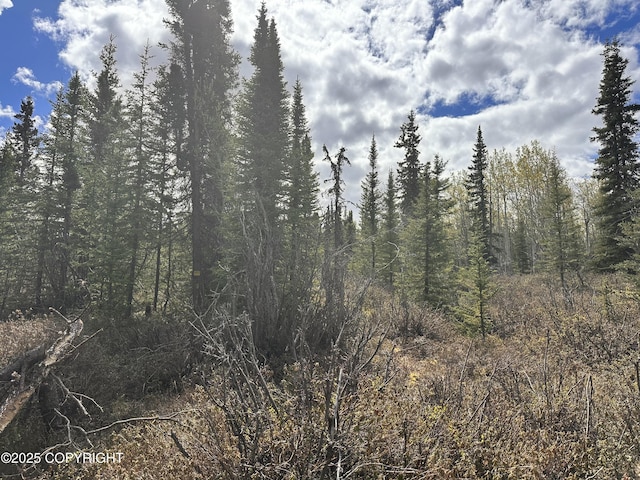 B005 Packsaddle Rd, Chickaloon, AK 99674