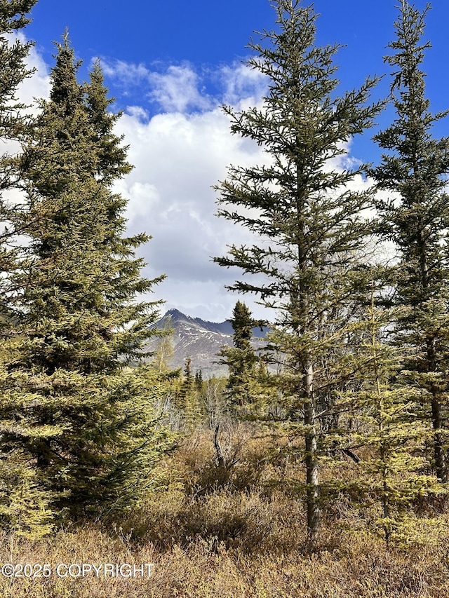 B005 Packsaddle Rd, Chickaloon, AK 99674