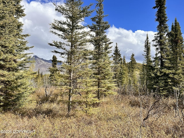 B005 Packsaddle Rd, Chickaloon, AK 99674