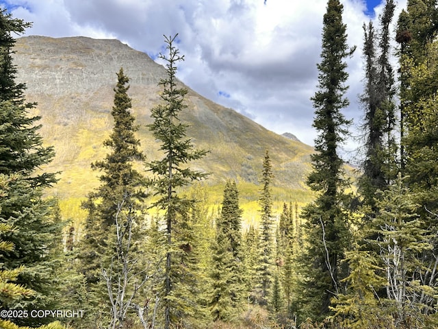 B005 Packsaddle Rd, Chickaloon, AK 99674