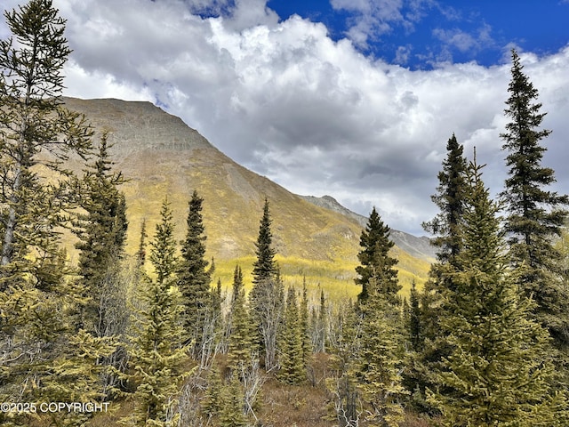 B005 Packsaddle Rd, Chickaloon, AK 99674