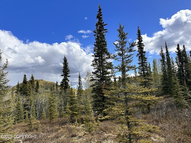 B005 Packsaddle Rd, Chickaloon, AK 99674
