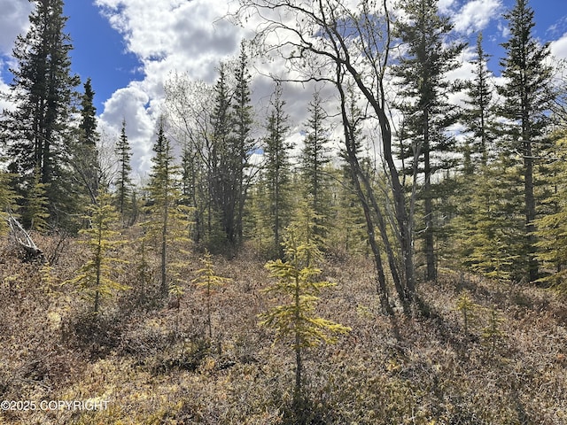 B005 Packsaddle Rd, Chickaloon, AK 99674