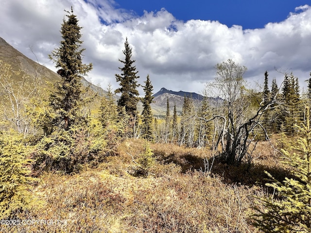 B005 Packsaddle Rd, Chickaloon, AK 99674