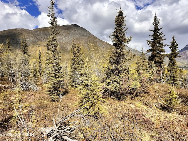 B005 Packsaddle Rd, Chickaloon, AK 99674