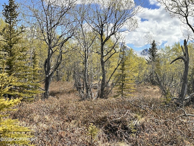 B005 Packsaddle Rd, Chickaloon, AK 99674