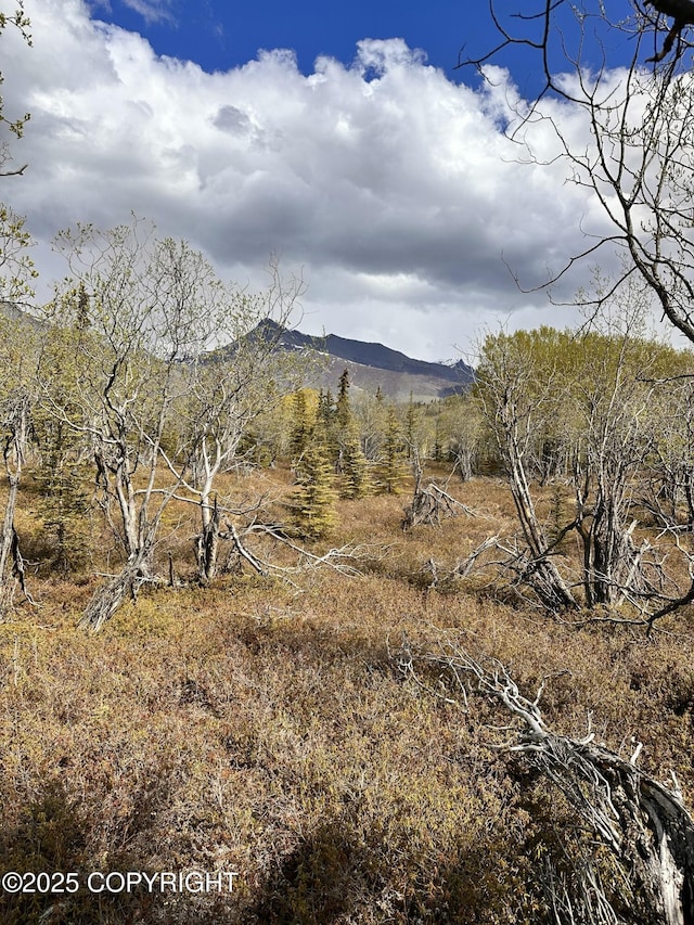 B005 Packsaddle Rd, Chickaloon, AK 99674