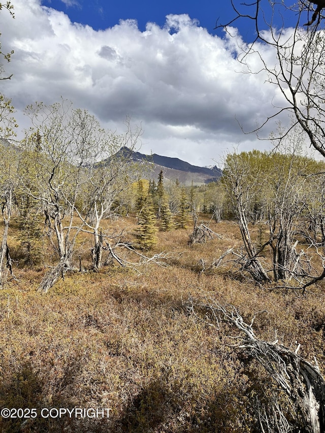 B005 Packsaddle Rd, Chickaloon, AK 99674