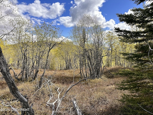 B005 Packsaddle Rd, Chickaloon, AK 99674