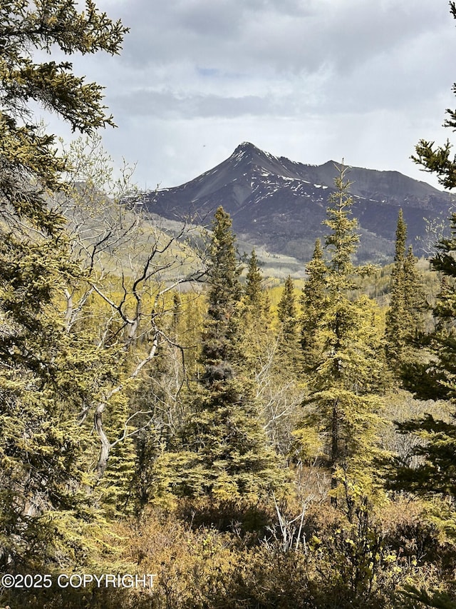 B005 Packsaddle Rd, Chickaloon, AK 99674